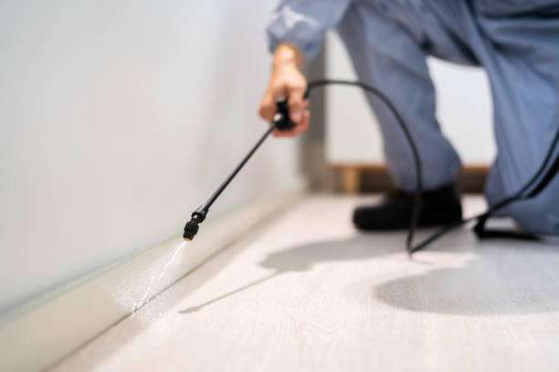 Bed Bug Pre-Treatment Preparation Assessment in Kelso