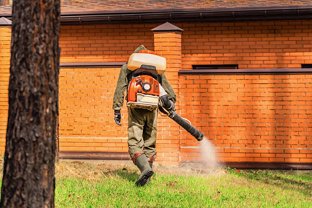 Bed Bug Clearance Verification and Documentation in Kelso